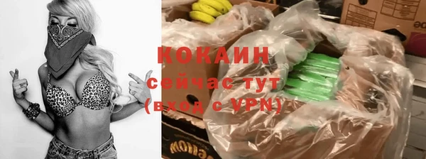 гидра Богданович