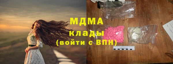 гидра Богданович