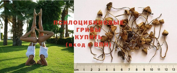 круглые Бородино