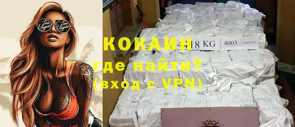 гидра Богданович