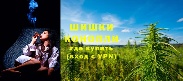 гидра Богданович