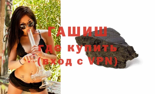гидра Богданович