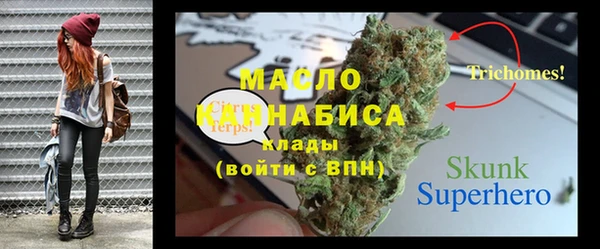 СК Бронницы