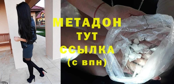 гидра Богданович
