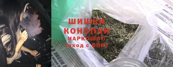 СК Бронницы