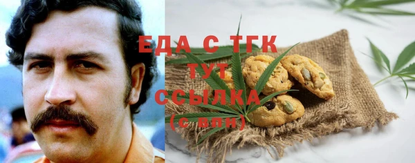 гидра Богданович