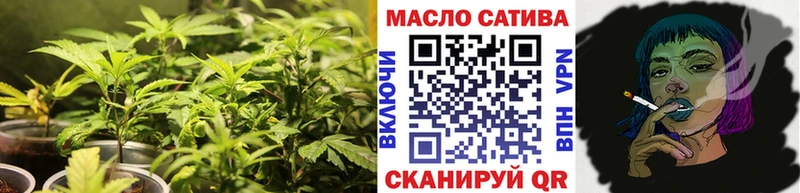 Купить где  Перевоз  ТГК вейп 