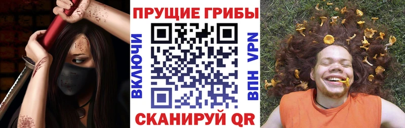 Галлюциногенные грибы GOLDEN TEACHER  Купить где  Перевоз 